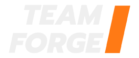 ZZZ Team Forge